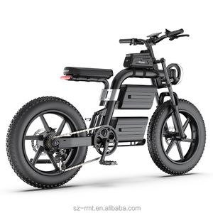 Vélo électrique de ville à pneus larges avec batterie au lithium 60V 2500W, moteur sans balais à moyeu arrière, vélo cargo 20Ah, recharge facile - Product Image 2