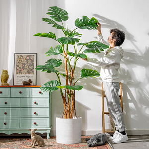 Di alta qualità 190CM foglie verdi Turtleback pianta in vaso finto piantato all'ingrosso piante artificiali per decorazione interna esterna - Product Image 5