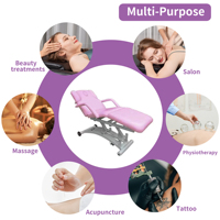 Lit d'extension de cils faciaux inclinables au design moderne pour salon de massage par tatouage esthétique Mobilier de boutique de spa en cuir synthétique