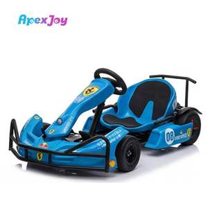 Kart électrique pour jeunes PULSE Lite-700W, niveau d'entrée, kart de course économique, vitesse maximale de 40 km/h, capacité de charge de 150 kg, batterie - Product Image 2