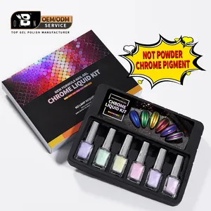 Bozlin-Kit de Arte de uñas, pigmentos líquidos cromados, polvo de espejo, caja de lujo con logotipo personalizado