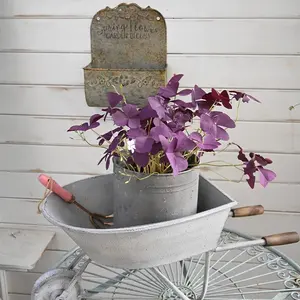 Country rustic Wheelbarrow Decorative Galvanized Metal Flower Pots Planters Vintage Planter for Farmhouse Indoor Outdoor Decor