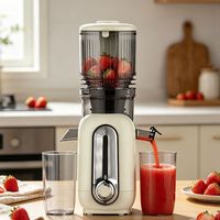 Extracteur de Jus Électrique à Pression à Froid de Qualité Supérieure pour Pommes, Carottes et Oranges – Meilleure Machine à Jus Lente pour Fruits