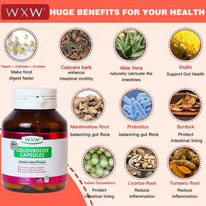 Cápsulas de pérdida de peso superventas Suplemento adelgazante Cápsula de limpieza de colon Cápsulas adelgazantes - Product Image 3