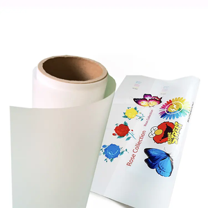 Cowint DTF <span class=keywords><strong>film</strong></span> stampa a trasferimento termico PET <span class=keywords><strong>Film</strong></span> Roll 30/60cm Cold Peel e Hot Peel stampante a getto d'inchiostro PET <span class=keywords><strong>Transfer</strong></span> DTF <span class=keywords><strong>Film</strong></span> - Product Image 2