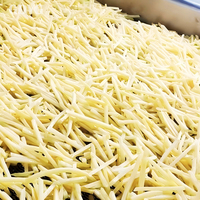 Goede prijs, groothandelskwaliteit, diepvries frites uit China, IQF verwerkt | Bulkverpakkingen | Ideaal voor export en foodservice