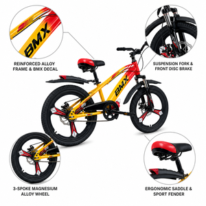싱타이 공장 공급업체 20인치 싱글 스피드 MTB BMX 분할 도장 프레임 CKD, AB 카톤당 3개, 좋은 가격 - Product Image 2