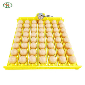 Прямой Оптовый мини-инкубатор для птицы с 56 емкостью лотка для яиц, автоматический вращающий двигатель для инкубации курицы - Product Image 5