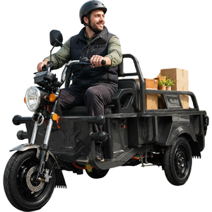 Motocicleta Eléctrica <span class=keywords><strong>de</strong></span> Carga <span class=keywords><strong>de</strong></span> 3 Ruedas, Triciclo Eléctrico para Adultos, para <span class=keywords><strong>Transporte</strong></span> <span class=keywords><strong>de</strong></span> Pasajeros y Carga, Precio <span class=keywords><strong>de</strong></span> Mayoreo - Product Image 2