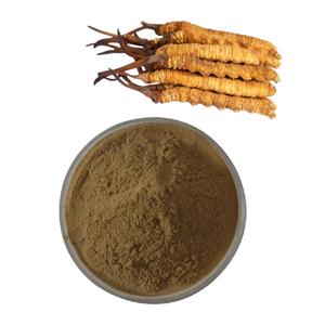 Cordyceps ธรรมชาติบริสุทธิ์อาหารเสริม Cordyceps sinensis แคปซูลสำหรับการสนับสนุนด้านพลังงานและภูมิคุ้มกัน - Product Image 3