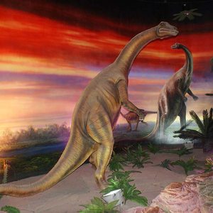 Công viên chủ đề Thế Giới Khủng Long Jurassic 2025 mua thực tế khổng lồ Kích thước cuộc sống mô hình khủng long hoạt hình tượng <span class=keywords><strong>Robot</strong></span> - Product Image 5