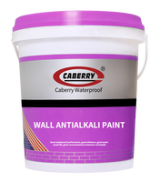 Apprêt anti-alcalin de qualité supérieure, apprêt mural professionnel pour surfaces en maçonnerie, béton et ciment, avec peinture de qualité supérieure