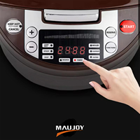Cuisinière à riz et chauffe-plat à induction parlante en braille de 5 L, en acier inoxydable, fonctionnement facile à une touche