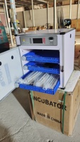 Incubateurs domestiques intelligents à double alimentation solaire et électrique, capacité 340 œufs, en PVC, vente directe en gros