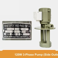 Pompe à eau de circulation de liquide de refroidissement pour découpe de fil WEDM 220V 380V 120W 140W, sortie latérale supérieure, bobinage entièrement en cuivre, pièce de rechange pour machine