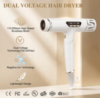 Sèche-cheveux anionique à moteur sans balais haute vitesse OEM, poignée pliable, sèche-cheveux de voyage, double tension, avec concentrateur