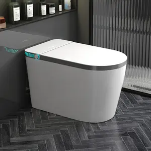 新しいデザインの自動フラッシュ細長い電子自動ビデ電気Wcインテリジェントスマートトイレ
