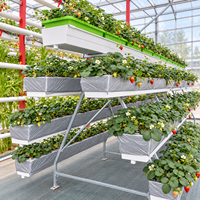 Système hydroponique NFT vertical pour serres commerciales, avec canaux de culture en PVC pour la culture hors-sol des fraises