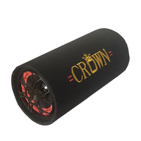 Subwoofer Cylindrique de 5 Pouces, Prix d'Usine, pour Voiture et Audio Domestique, Bluetooth Sans Fil, AC DC 12V 220V, Haut-Parleur de Basses Actif