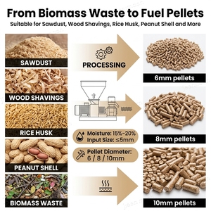 Pellettatrice <span class=keywords><strong>a</strong></span> Anello 560 per Biomassa 110KW 1.5-2t/h, Macchina Commerciale per Pellet di Legno per Impianti di Combustibile da Segatura con Servizio di Layout per Fabbriche - Product Image 4