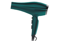 Vente en gros de sèche-cheveux à moteur CA de salon professionnel sèche-cheveux à ion négatif avec logo personnalisé Haardroger de grande puissance