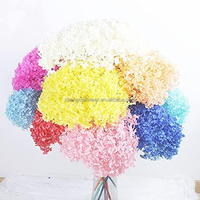 Bunga diawetkan & tanaman tahan lama Anna Hydrangea bunga kering Dekorasi alami bunga Hortensia putih hijau merah muda krem warna