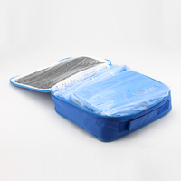 Boîte à lunch isotherme de qualité supérieure, durable et réutilisable, pour pique-nique