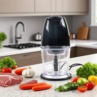 300W Mini Broyeur Électrique Machine Hachoir Alimentaire Mélangeur De Viande Machine pour Cuisine Appareils Ménagers