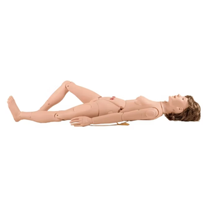 GD/J120 Modèle de traumatologie craniocérébrale Science médicale Mannequin en PVC pour la formation <span class=keywords><strong>dans</strong></span> <span class=keywords><strong>les</strong></span> écoles et <span class=keywords><strong>les</strong></span> hôpitaux - Product Image 1