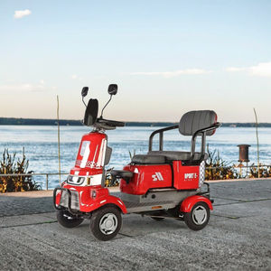 Elektrisch voertuig met vier wielen, 650 W elektrische fiets, e-bike-mobiliteit voor ouderen, kinderen, volwassenen, handig voor sightseeing - Product Image 1