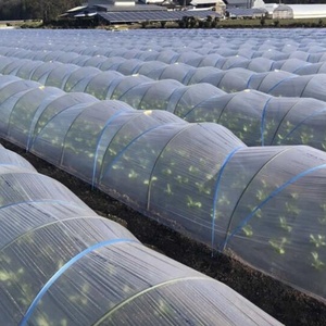 เสาค้ำต้นไม้ไฟเบอร์กลาสสำหรับเรือนกระจก/เสาโค้ง FRP สำหรับโครงหลังคา - Product Image 4