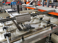 Fécule de maïs biodégradable Récipient alimentaire en plastique PLA formant la machine coextrusion de plateau de boîte alimentaire pp