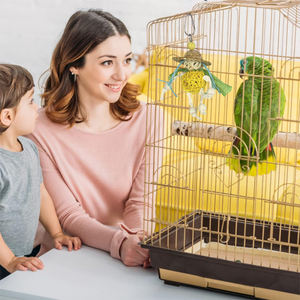 Venta caliente suministros para pájaros loro sombrero de paja pequeño hombre de paja Takraw masticar jaula de pájaros juguete para <span class=keywords><strong>palomas</strong></span> otros aviares - Product Image 6