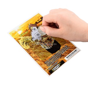 Tarjeta Rasca y Gana Multidesigno Personalizada, Tarjetas de Lotería Rasca y Gana, un Boleto de Lotería Ganador - Product Image 1