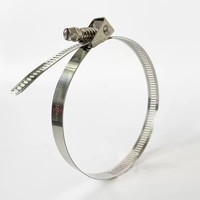 High-Quality Stainless Steel Quick-release American Type Hose Clamps Fasteners Manufacturer