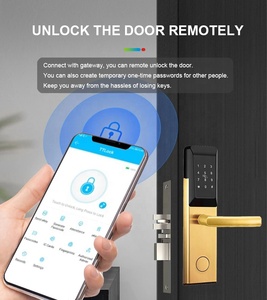 รหัสผ่านอัจฉริยะแบบไร้กุญแจ ล็อคโรงแรม TTlock App ระบบจัดเก็บข้อมูลบนคลาวด์ รหัสแป้นพิมพ์อิเล็กทรอนิกส์สำหรับอพาร์ทเมนท์ โฮมออฟฟิศ PTTM290 ล็อคโรงแรม M - Product Image 5