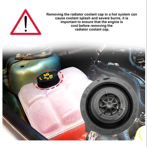 Tapa de radiador FOLMOCO DG93-8101-AA para Ford Mustang, Lincoln, Land Rover, Volvo. Fabricada en Eslovaquia. - Product Image 2