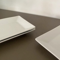Assiette à dîner rectangulaire en porcelaine de 9.5 pouces Lots en stock en usine Super White Hotel Restaurant Use Assiette en porcelaine plate classique
