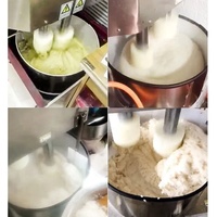 Nian Gao professionnel faisant l'équipement automatique 100 kg/h Mochi pâte Machine riz gâteau martelant la Machine