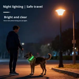 Huisdier Siliconen Lichtgevende Minimalistische Verstelbare LED-riemketting USB-oplaadbare wandelhalsband Effen kleur Feestdagen Alle seizoenen - Product Image 2