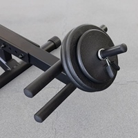 Banc d'entraînement abdominal semi-allongé en acier au carbone et mousse PP pour usage domestique, machine à crunches et amincissante pour la taille, pour le fitness