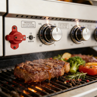 Cuisine extérieure modulaire industrielle Hongsi, armoires en acier inoxydable, barbecue intégré, réfrigération, écologique, ignifuge
