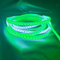 Lampu Strip Led fleksibel RGB tegangan rendah 24V dengan Program Madrixs