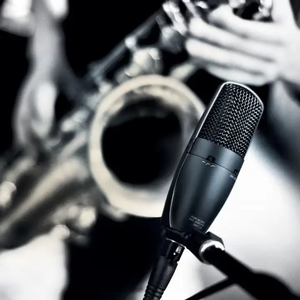 Microphone à condensateur à large diaphragme cardioïde filaire <span class=keywords><strong>SM27</strong></span>, construction en métal et plastique, réduction du bruit pour TikTok, YouTube Live - Product Image 4