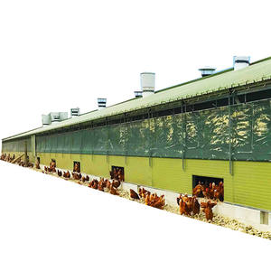 Nave Prefabricada para Cría de Pollos, Granja Avícola, Fábrica de Matanza de Aves - Product Image 5