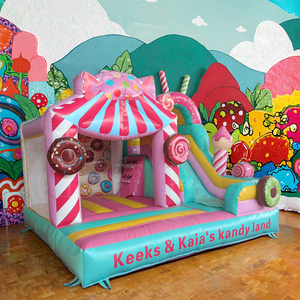 Château plein d'entrain gonflable de nouvelle conception de haute qualité avec la glissière pour la maison de rebond d'intérieur d'amusement de filles gonflable avec le prix concurrentiel - Product Image 5