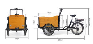 Tricycle <span class=keywords><strong>cargo</strong></span> à chargement frontal <span class=keywords><strong>2022</strong></span>, fabricant de tricycles électriques Holland, <span class=keywords><strong>vélo</strong></span> <span class=keywords><strong>cargo</strong></span> familial - Product Image 4