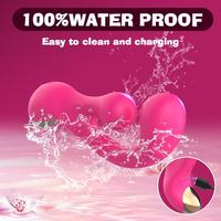 Vibrateur rotatif pour point G pour femmes, vibration torsadée, silicone rechargeable, jouet sexuel pour adultes, masturbateur féminin