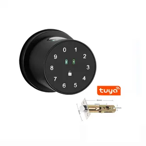 Tuya telecomando codice digitale catenaccio serratura della porta Password elettronica Keyless Hotel appartamento serratura della porta