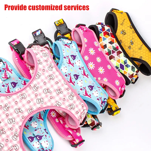 Hot Trending OEM Patrón Imprimir Perro Arnés y Correa Elástico Personalizable Arnés y Correa Set Con Soporte - Product Image 2